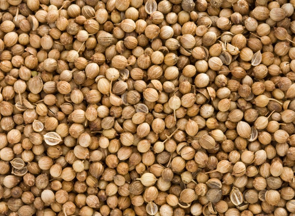 Coriander (Whole)